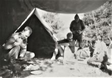 1961 Pinseleir Eldøya
