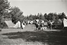 1961 Pinseleir Eldøya
